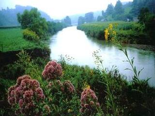 千佛洞森林公园