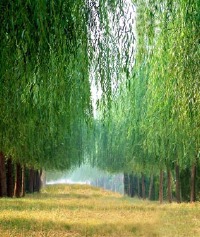 景点图片