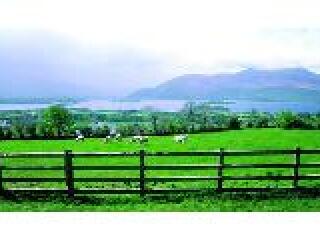 贵阳修文苏格兰牧场