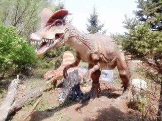 花果山神秘谷风景区