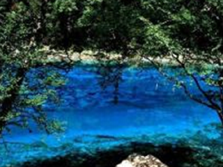 海鸥森林游乐区