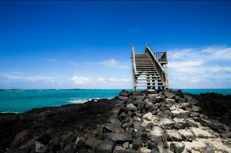 伊莎贝拉岛旅游
