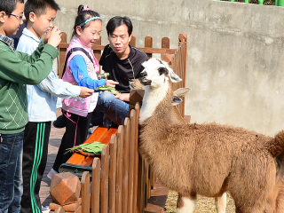 秦岭野生动物园