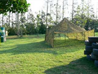 浦东高桥滨江森林公园