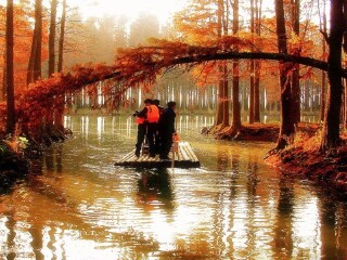 李中水上森林公园