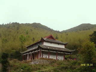 阳岭国家森林公园