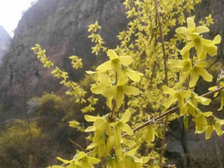 香木河自然保护区