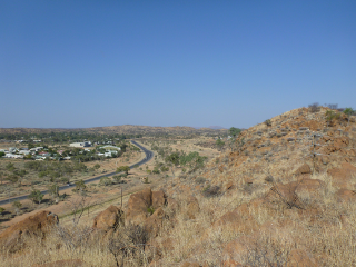 奥利夫平克植物园