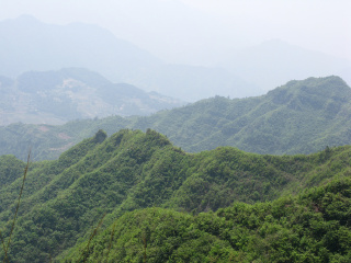 龙骨寨