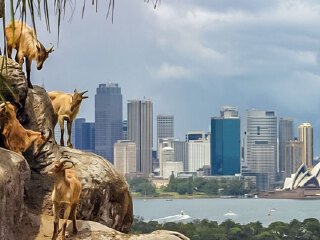 悉尼塔龙加动物园