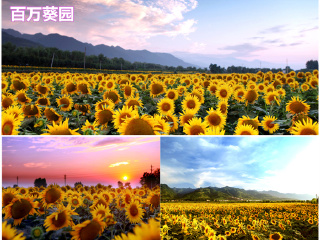 楼观道文化景区