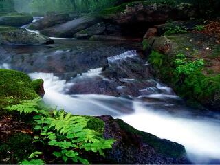 岗山国家森林公园