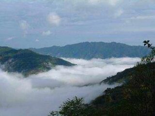 金平苗族瑶族傣族自治县