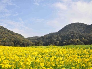 石门国家森林公园