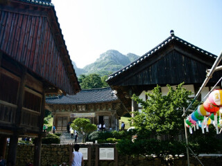来苏寺