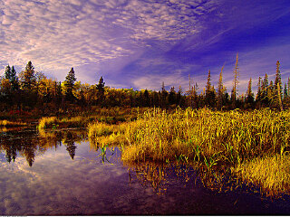 赖丁山国家公园
