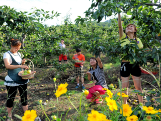 大梨树生态农业观光旅游区