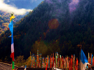 九寨沟龙康藏家乐