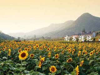 湖州安吉尚书休闲文化村