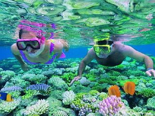 科纳凯阿拉凯库亚海湾