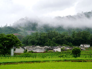 景德镇森林公园