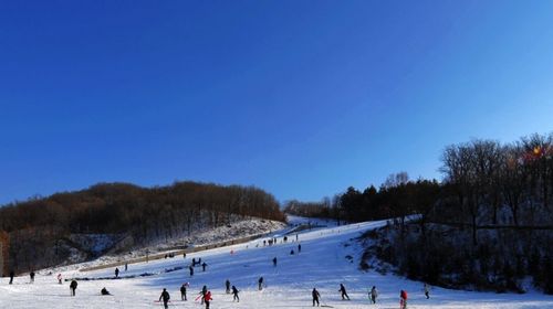 朱雀山滑雪图片