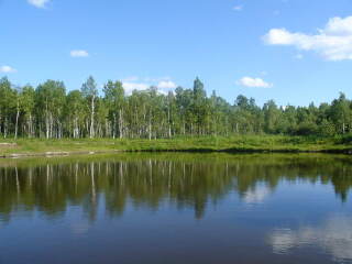 西大圈国家森林公园
