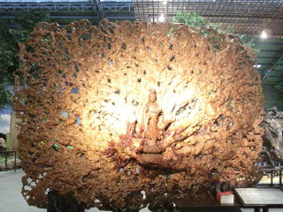 森晖自然博物馆