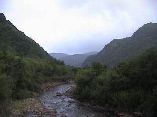 泾河源旅游区