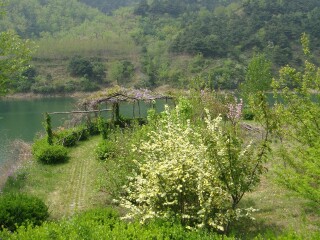 海晏三角城遗址