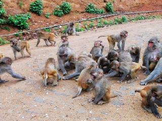 宝鼎生态旅游区