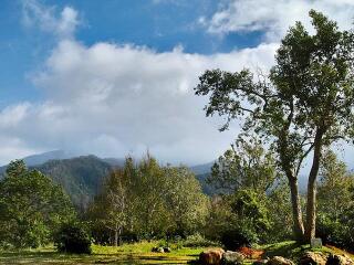 五指山国家级自然保护区