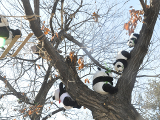 秦岭野生动物园