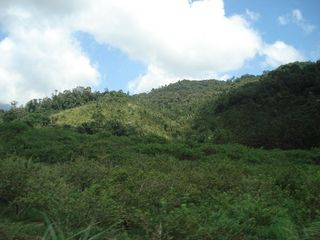 雨林谷