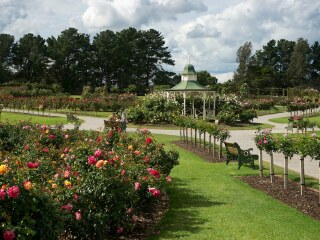 维多利亚州立玫瑰园