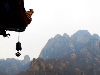 五龙山森林公园