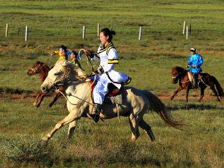 鄂尔多斯大草原