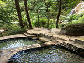 腾冲樱花谷森林温泉风景区