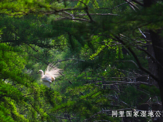 同里国家湿地公园