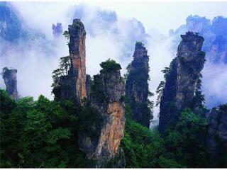 吕梁山森林公园