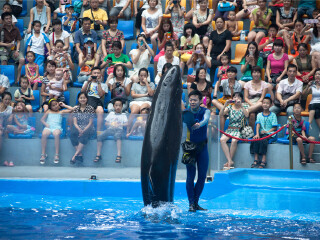 成都海昌极地海洋公园