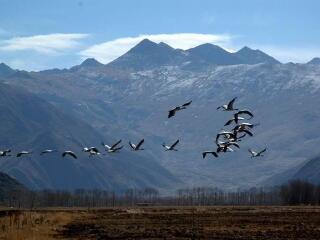 大山包黑颈鹤保护区