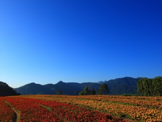 漳州十里蓝山度假区