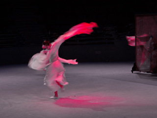 大连武术博物馆太极秀