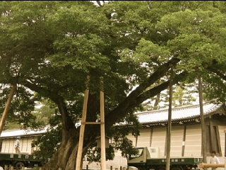 御所湖公园家庭土地