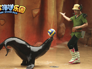 皇家海洋乐园