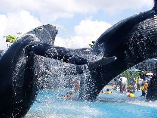 屏东国立海洋生物博物馆