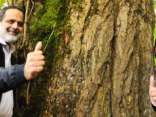 杭州临安天目山冰川大峡谷