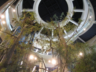 奥兰多科学中心