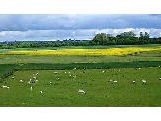 贵阳修文苏格兰牧场